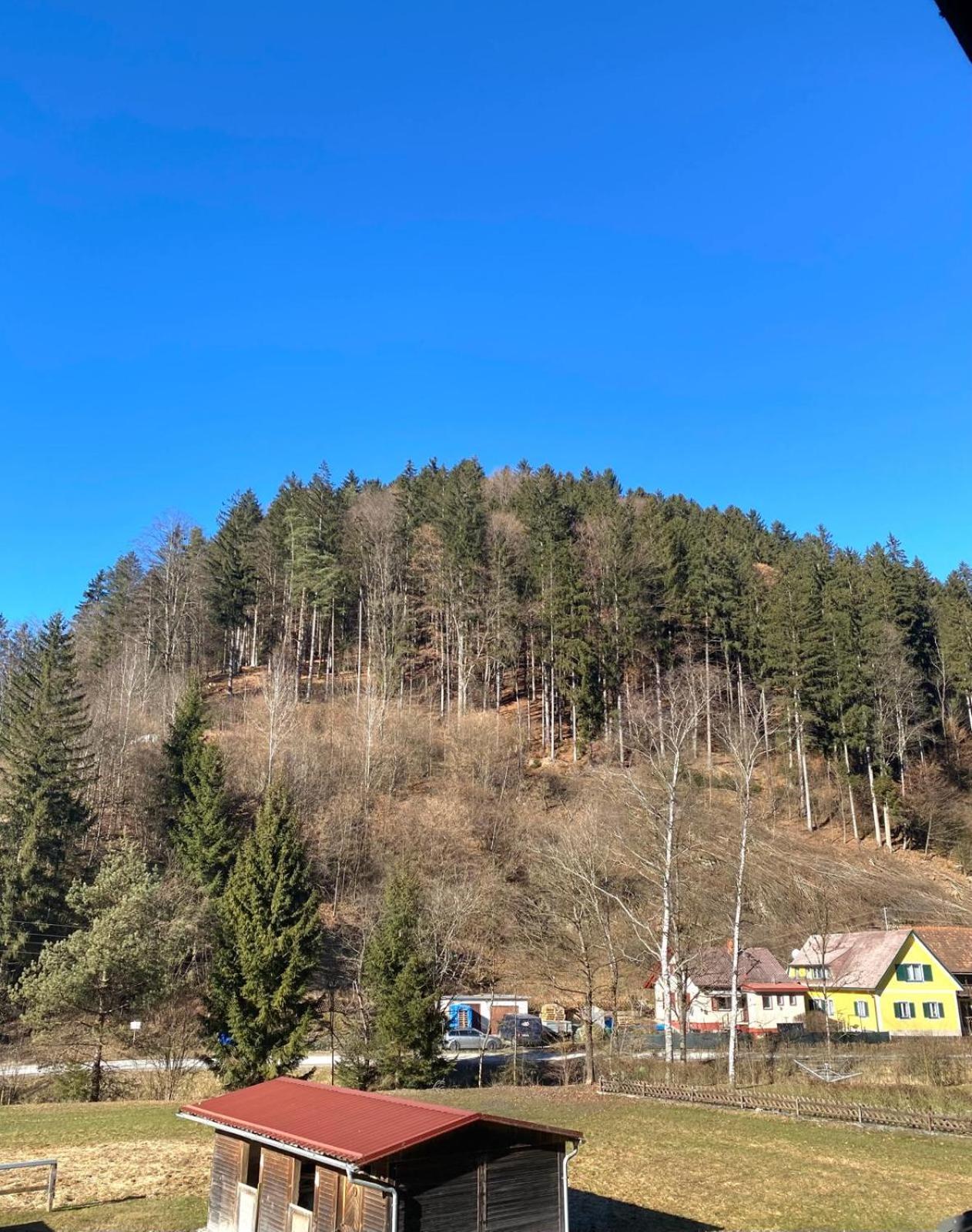 Almenland Holiday home Arzberg